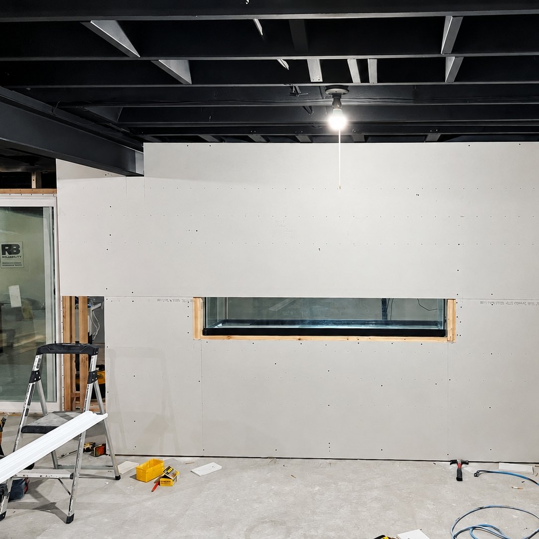 Basement wall of new drywall with a long window cut into it and a stepladder nearby