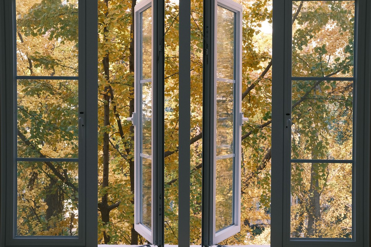 Dark-framed casement windows with two white sashes swung open onto yellow autumn trees